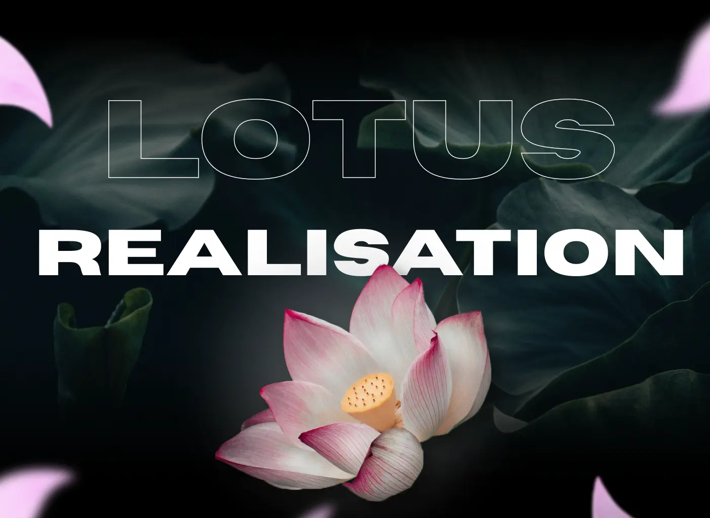 lotus_realisations